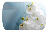 Стол обеденный Бостон-3 раздвижной на опоре триумф-хром (Белая орхидея)