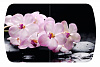 Стол обеденный Бостон-3 раздвижной на опоре триумф-хром (Розовая орхидея)